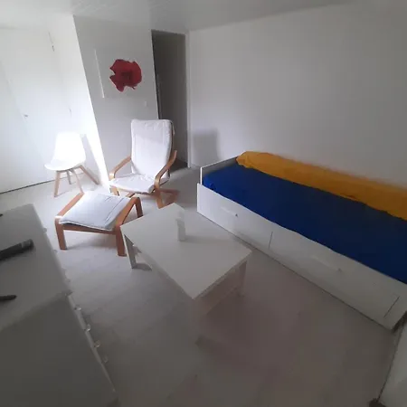 Maison 2 Pieces Avec Jardin Beaujoire 南特