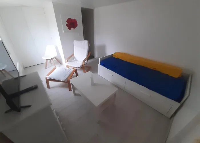 Maison 2 Pieces Avec Jardin Beaujoire Nantes